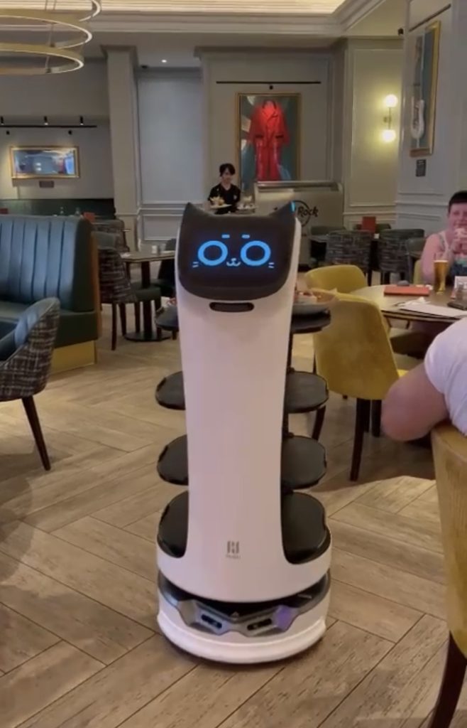 Bellabot the robot waiter operating in a restaurant